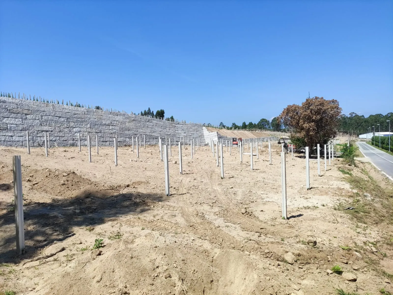 Muro de piedra de gran longitud en un entorno de viñedo